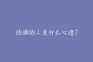 怕猫的人是什么心理?-动物百科
