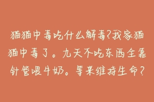 猫猫中毒吃什么解毒?我家猫猫中毒了。九天不吃东西全靠针管喂牛奶。等来维持生命?-动物百科