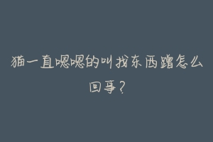 猫一直嗯嗯的叫找东西蹭怎么回事?-动物百科