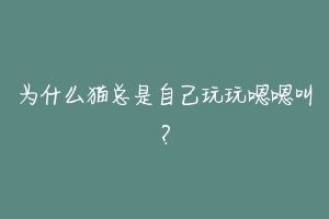 为什么猫总是自己玩玩嗯嗯叫?-动物百科