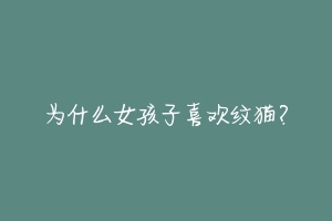 为什么女孩子喜欢纹猫？-动物百科