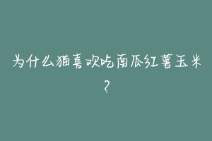 为什么猫喜欢吃南瓜红薯玉米?-动物百科