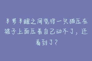 半梦半醒之间觉得一只猫压在被子上面压着自己动不了,还看到了?-动物百科