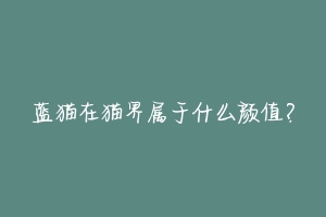 蓝猫在猫界属于什么颜值?-动物百科