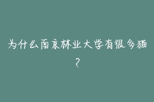 为什么南京林业大学有很多猫?-动物百科