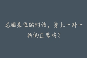龙猫呆住的时候,身上一抖一抖的正常吗?-动物百科