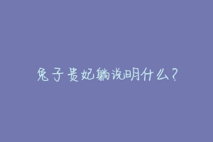 兔子贵妃躺说明什么?-动物百科