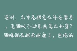 请问,九年老猫怎么补充营养,老猫咬不动东西怎么补身?猫咪现在越来越瘦了,也吃的很少,真的怕它营养不?-动物百科