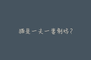 猫是一夫一妻制吗?-动物百科
