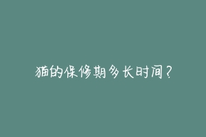 猫的保修期多长时间？-动物百科