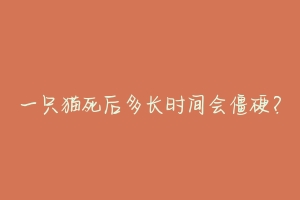 一只猫死后多长时间会僵硬?-动物百科
