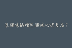 亲猫咪的嘴巴猫咪心理反应？-动物百科