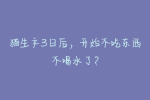 猫生产3日后,开始不吃东西不喝水了?-动物百科