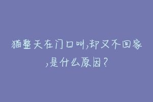 猫整天在门口叫,却又不回家,是什么原因?-动物百科