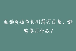 蓝猫英短多长时间打疫苗,都需要打什么?-动物百科