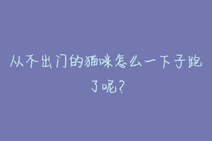 从不出门的猫咪怎么一下子跑了呢?-动物百科