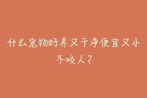 什么宠物好养又干净便宜又小不咬人?