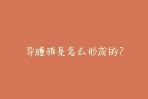 异瞳猫是怎么形成的?