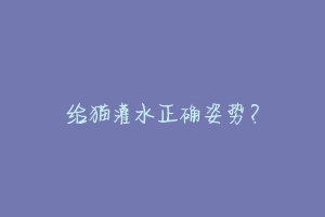 给猫灌水正确姿势?