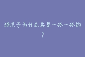 猫爪子为什么总是一抓一抓的?