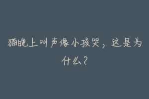 猫晚上叫声像小孩哭,这是为什么?-动物百科