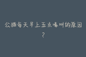 公猫每天早上五点嚎叫的原因?