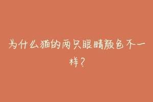 为什么猫的两只眼睛颜色不一样？-动物百科