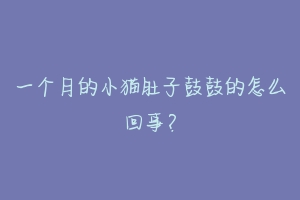 一个月的小猫肚子鼓鼓的怎么回事?