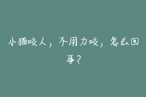 小猫咬人,不用力咬,怎么回事?