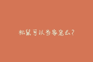 松鼠可以当家宠么?