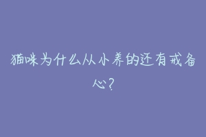猫咪为什么从小养的还有戒备心?