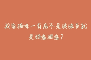 我家猫咪一有病不是胰腺炎就是猫瘟猫瘟?