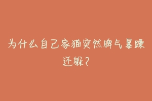 为什么自己家猫突然脾气暴躁还躲?