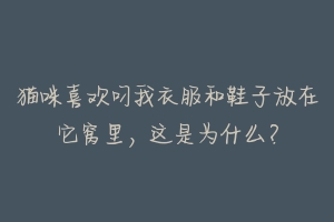 猫咪喜欢叼我衣服和鞋子放在它窝里，这是为什么？
