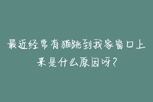 最近经常有猫跳到我家窗口上来是什么原因呀?