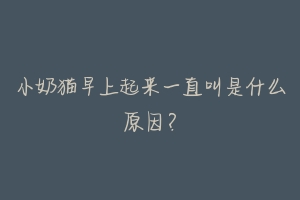 小奶猫早上起来一直叫是什么原因？