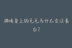 猫咪身上的毛毛为什么会泛着白?