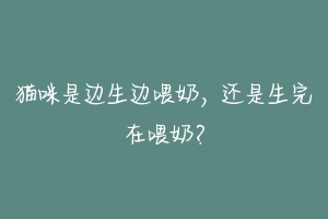 猫咪是边生边喂奶,还是生完在喂奶?