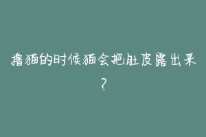 撸猫的时候猫会把肚皮露出来?