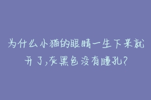 为什么小猫的眼睛一生下来就开了,灰黑色没有瞳孔？-动物百科