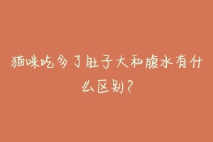 猫咪吃多了肚子大和腹水有什么区别?