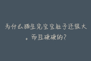 为什么猫生完宝宝肚子还很大。而且硬硬的?