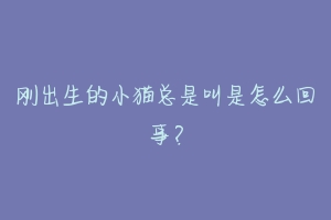 刚出生的小猫总是叫是怎么回事?