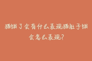 猫饿了会有什么表现猫肚子饿会怎么表现？