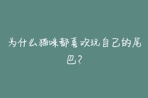 为什么猫咪都喜欢玩自己的尾巴？