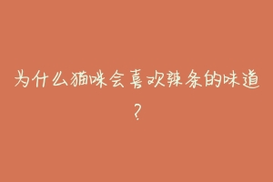 为什么猫咪会喜欢辣条的味道？-动物百科