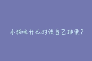 小猫咪什么时候自己排便?