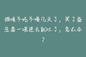 猫咪不吃不喝几天了,买了益生菌一喂进去就吐了,怎么办?