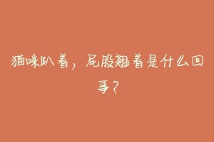 猫咪趴着,屁股翘着是什么回事?