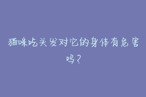 猫咪吃头发对它的身体有危害吗?
